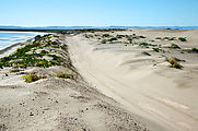 Baja - Peninsula el Mogote - Dunes - Road