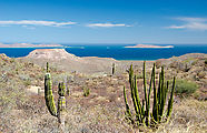Baja - Road Inland from San Evaristo - Looking East