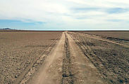 Baja - Laguna Salada - Road - Mud Flat