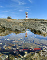 Vizcaino - Punta San Hipolito - Tidepools - Lighthouse