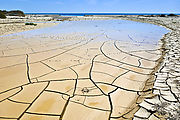 Vizcaino - Bahia Rompiente - Punta Quebrada - Dried Cracked Mud