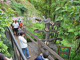 La Paz Waterfall Gardens - Bananas to Feed Birds (Dec 25, 2005 1:04 PM)