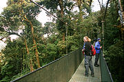 Monteverde - Sky Walk - Liz Geoff (photo by Laura) (Jan 2, 2005)