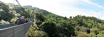 Monteverde - Sky Walk - Suspension Bridge (Jan 2, 2005 10:54 AM)