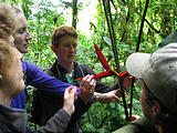 Monteverde Cloud Forest Reserve - Liz Laura (Jan 2, 2005 3:38 PM)