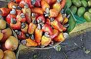 Antigua - Market - Fruit - Jocote de Marañón - Cashews