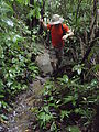 Río Dulce - Hike to Waterfall - Geoff
