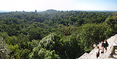Tikal - Pyramid Ruin - View From Temple IV
