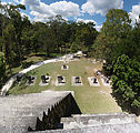 Tikal - Pyramid Ruin - Complex Q - View from the Top