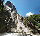 Tikal - Pyramid Ruin - Temple V - 100-ft. Wooden Access Ladder