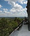 Tikal - Pyramid Ruin - View from Temple V