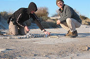 South of Puertecitos - Campsite - Playa Bufeo - Reassembling Skeleton Parts - Geoff - Laura