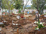 Eronga - Cemetery