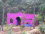 El Bosque - Purple Casita (photo by Brian)