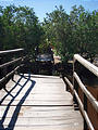 La Manzanilla - Crocodile Water - Broken Bridge