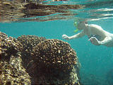 La Manzanilla - Snorkeling