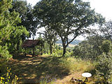 Rancho Madroño - View (photo by Geoff)
