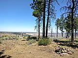 Deschutes National Forest - Oregon - View Campsite