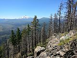 Deschutes National Forest - Oregon - Green Ridge - Mount Jefferson - View