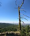 Ochoco National Forest - Oregon - Green Mountain - Ingram Point