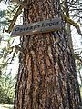 Ochoco National Forest - Oregon - Campsite - Polekat Lodge - Sign