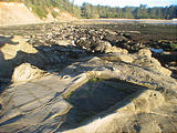 Sunset Bay State Park Tidepools (October 12, 2004 5:44 PM)
