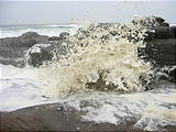 Yachats Sea Foam (October 18, 2004 2:24 PM)