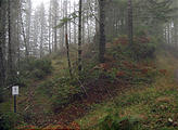 Tillamook State Forest Motorcycle Trail (October 22, 2004 11:16 AM)