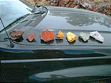 colorful rocks found in the Silver Island Mountains (7/15 2:02 PM)