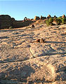trail to Delicate Arch viewpoint (7/21 6:50 PM)