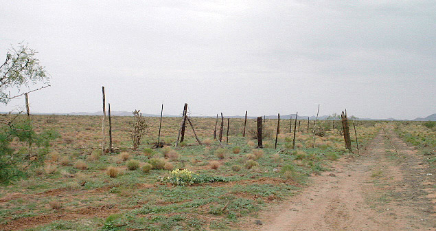Barbed Wire Fence. August 8 - Mexican Border &