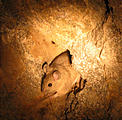 El Paso Mountains - Burro Schmidt Tunnel - Rat (June 2, 2006 11:08 AM)