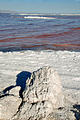 Utah - Salt near Spiral Jetty