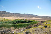 Nevada - Rabbithole Springs