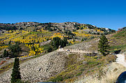 Willard Mountain - Road - Black Mountain - Aspen Trees