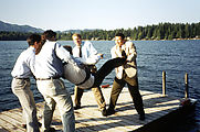 Throwing - Chris - Into Lake - Ivo - Rich Choi - Mike - Fru - Chris - On Dock