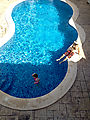 Mérida - Hotel Maria Jose - Pool - Lyra - Geoff (Photo by Laura)