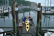 Kayaking - Loading Kayaks - In Anacortes