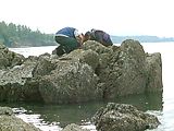 Kayaking - Looking - At Sea Creatures