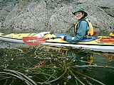 Kayaking - Laura - In Kelp