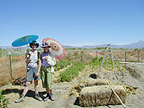 DPW Work Ranch - Garden - Laura - Christina