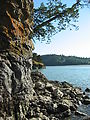 Rocky Shore