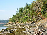 Laura - Tidepooling