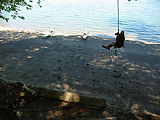 Rope Swing - Geoff