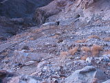 0924 Darwin Canyon - Old Mine - Tracks