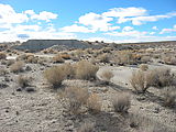 Granite Springs Valley - Ruins