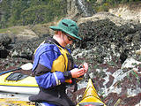 Laura - Gathering Limpets