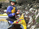 Laura - Gathering Limpets