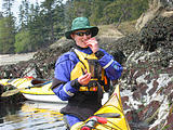 Laura - Gathering Limpets