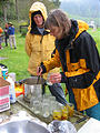 Dinner - Kelp Pickles